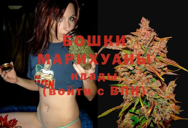 ГАЛЛЮЦИНОГЕННЫЕ ГРИБЫ Михайловск