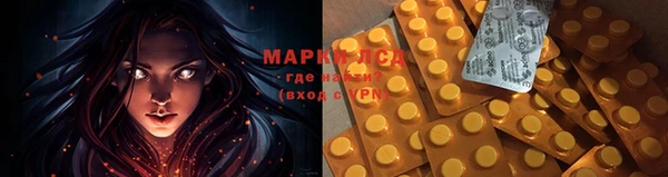 гидропоника Магас