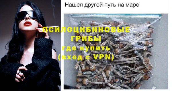 ГАЛЛЮЦИНОГЕННЫЕ ГРИБЫ Михайловск