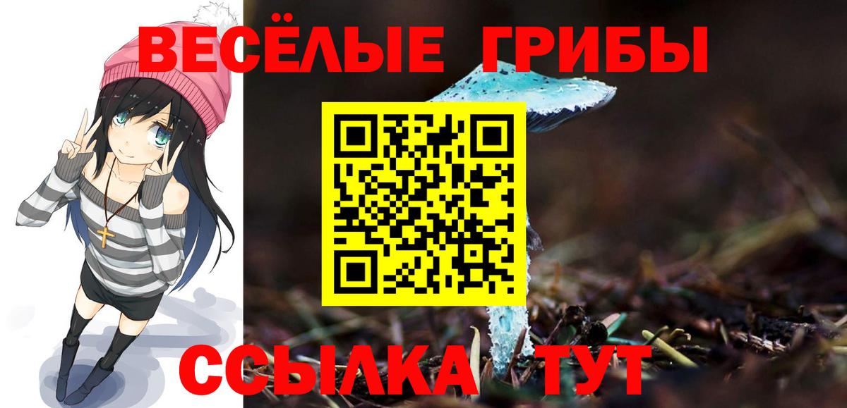 Псилоцибиновые грибы Magic Shrooms  Псилоцибиновые грибы мицелий  Новоалтайск  Вход с VPN 